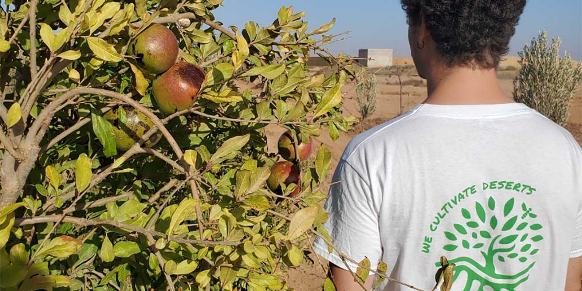 Sand to Green, il progetto che vuole rendere fertile il deserto